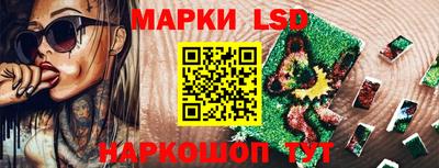 стаф Гай