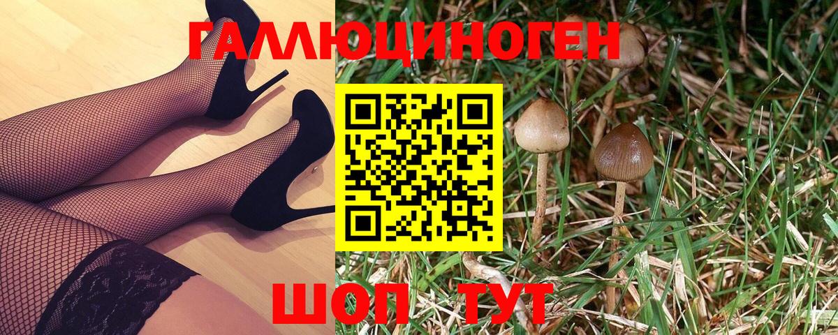 Псилоцибиновые грибы Psilocybine cubensis  Галлюциногенные грибы мицелий  Вход с VPN  Наро-Фоминск 